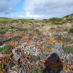 Дом отдыха Casa Dina