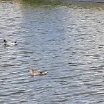 Дом отдыха Casa Dina