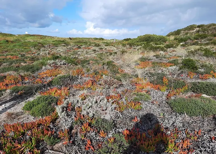 Casa vacanze Casa Dina