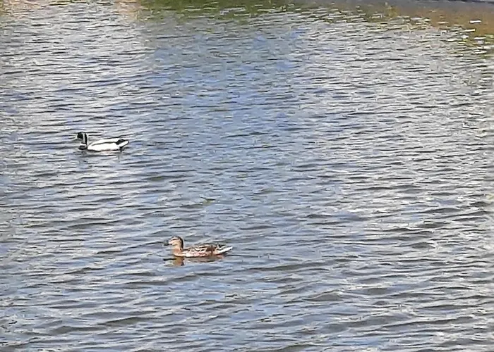 Casa vacanze Casa Dina