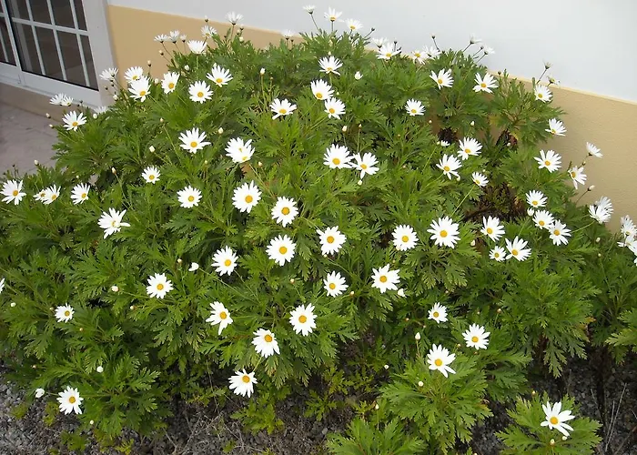 Casa vacanze Casa Dina